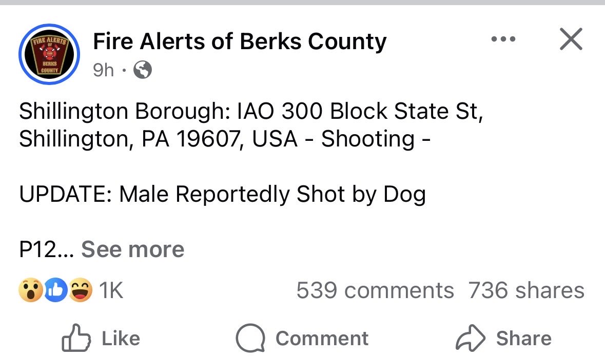 DeLo_77's tweet image. Take away guns now!!! #guncontrol