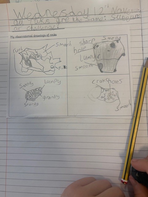 ManorDidcot's tweet image. 🪨 Year 3 Become Petrologists at Manor Primary! 🪨
Our pupils explored rocks &amp;amp; fossils like real scientists this week—examining types, properties &amp;amp; everyday uses. Their curiosity &amp;amp; enthusiasm for discovery were inspiring! 🌍👏 #Science #PrimaryEducation @GLFSchools