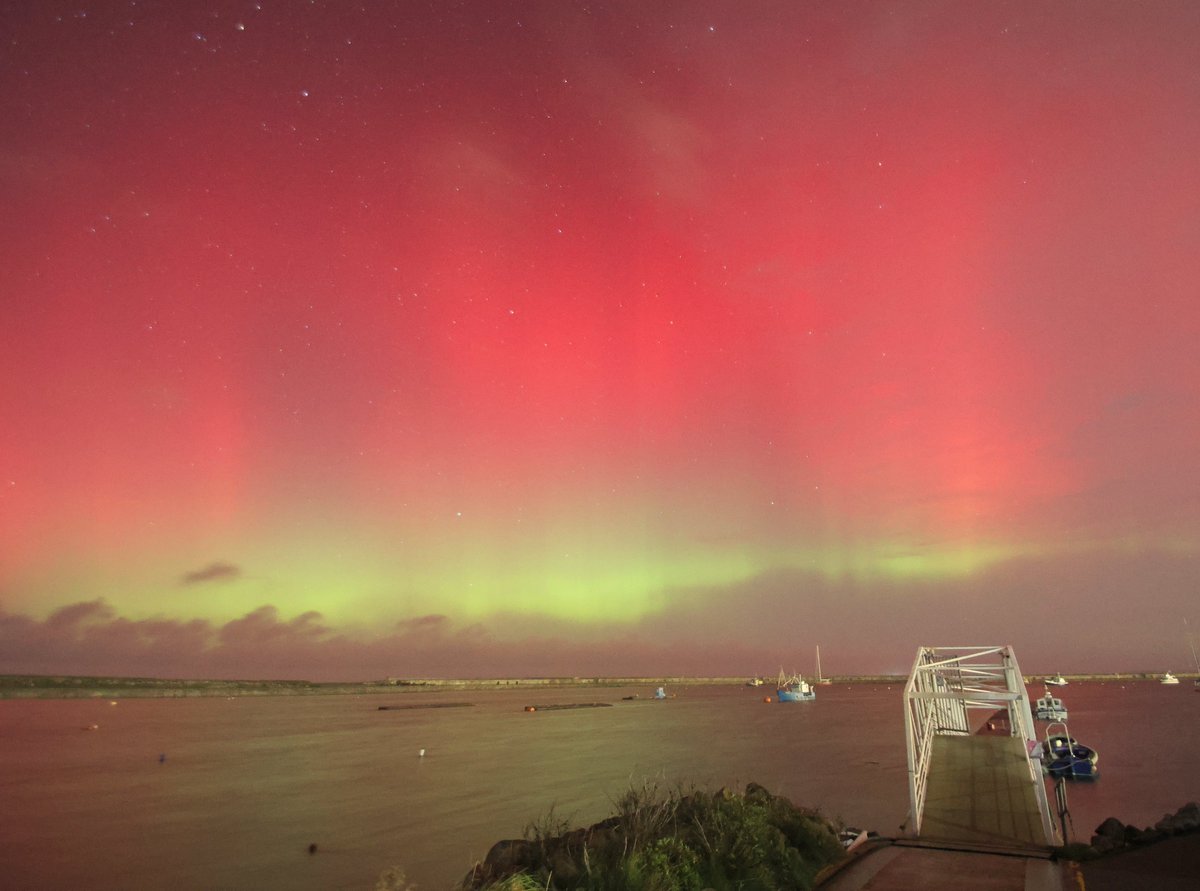 Anthony Ward tweet media