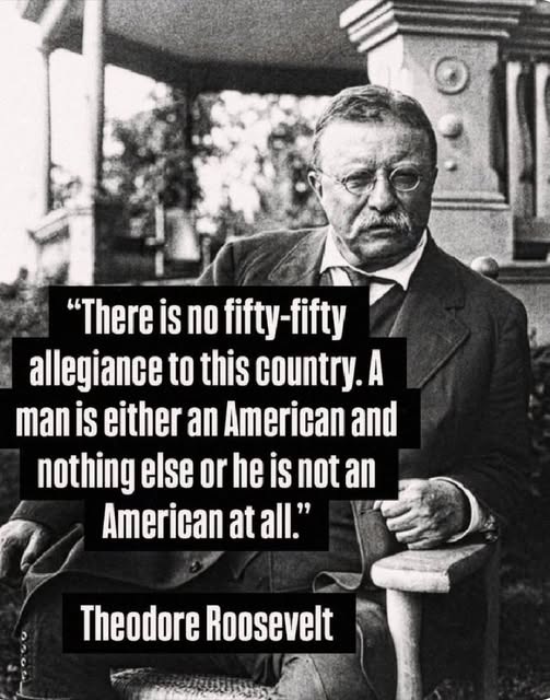 SaltyGoat17's tweet image. It&apos;s all or nothing!!

If people can&apos;t get behind that they&apos;re welcome to come and visit but ARE NOT welcome to stay.

Go back home to the country were your allegiance lies.