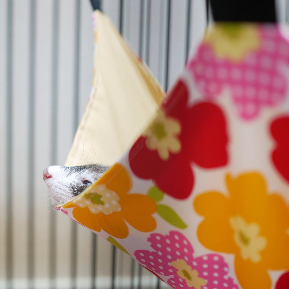 アッキ様 あっきー様ʢ☘︎-·̮•̯ʡʢ•̯·̫-☀︎ʡ on X