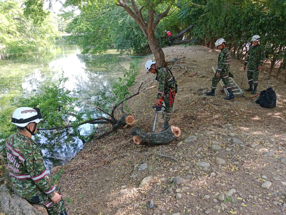 🌳💪 Trabajo por la seguridad de todos

Soldados de la Brigada de Ingenieros de Atención y Prevención de Desastres realizaron trabajos generales de ingenieros orientados a la reducción y mitigación del riesgo por la posible caída de un árbol en el Cantón Militar “La Popa”, en
