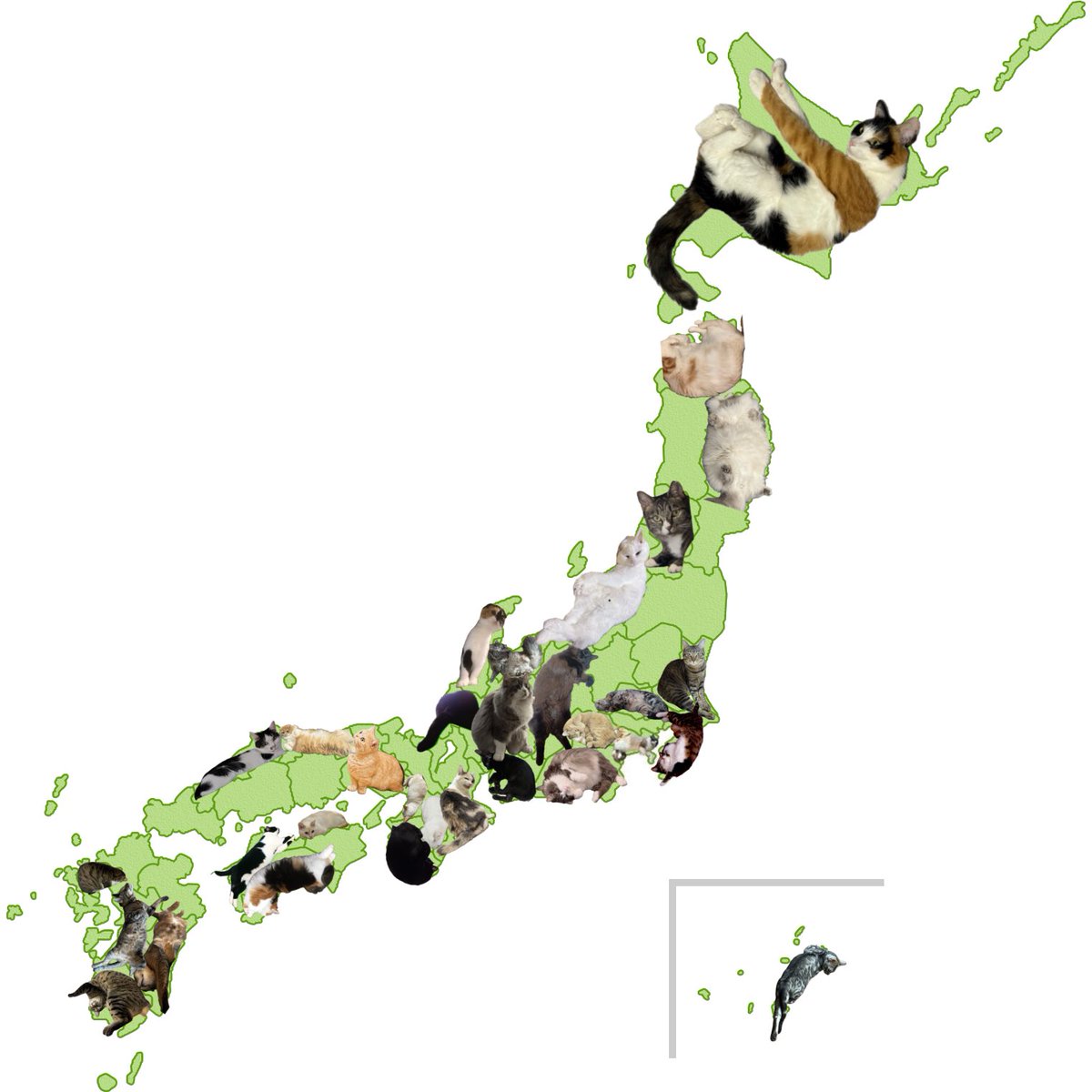 いえもり tweet media