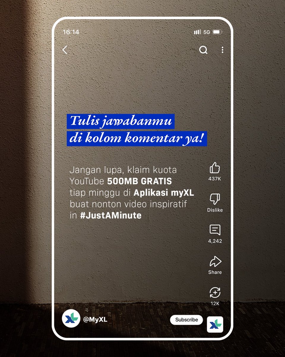 XL tweet media
