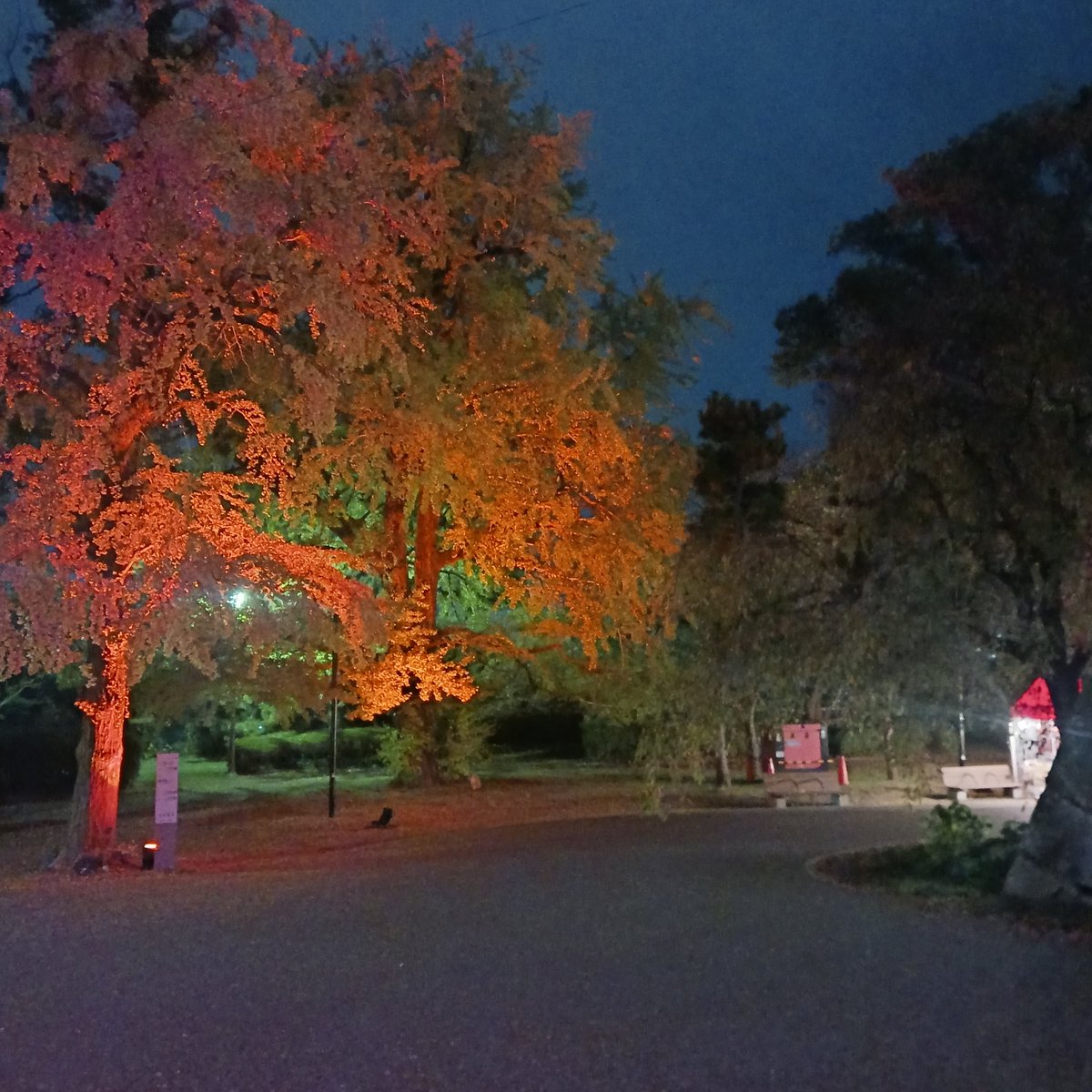 ウェザーリポート