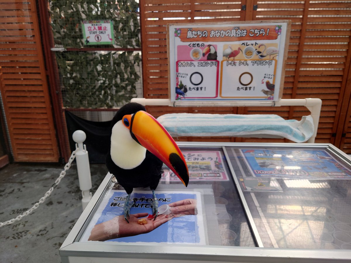 いぬもり tweet media