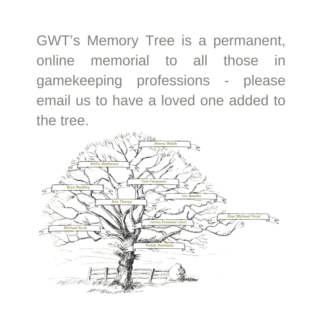 GWT tweet media