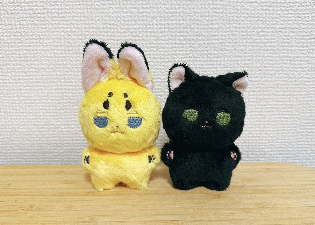 明日の夜21時に開けようと思うのでよろしくお願いします〜