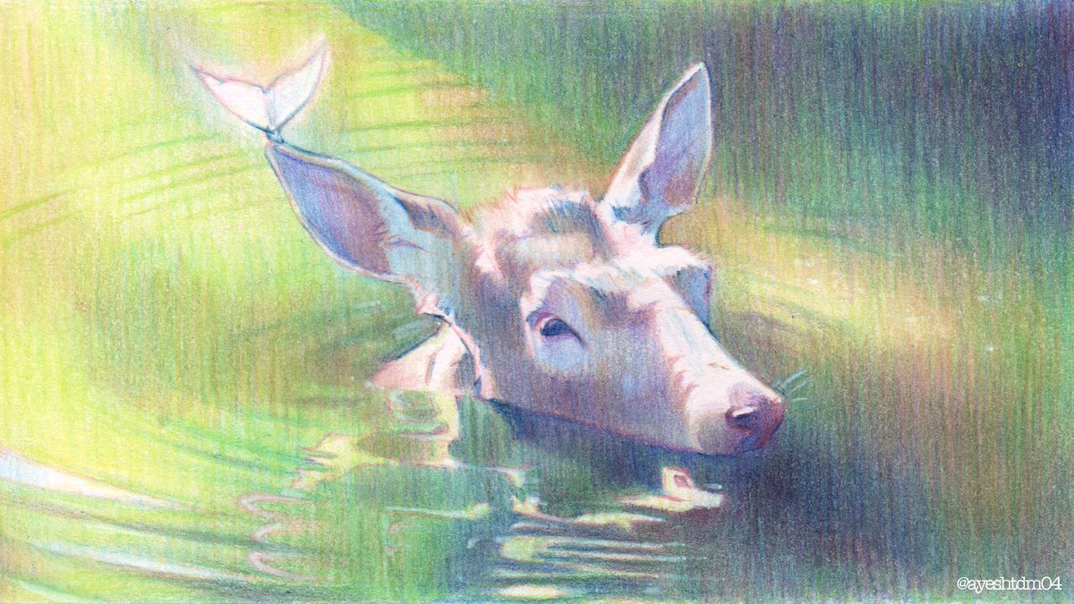 ayeshtdm04's tweet photo. REBORN 
#coloredpencil #wildlife #fantasy #traditionalart #illustration #art https://t.co/hiKkpJf0Kn