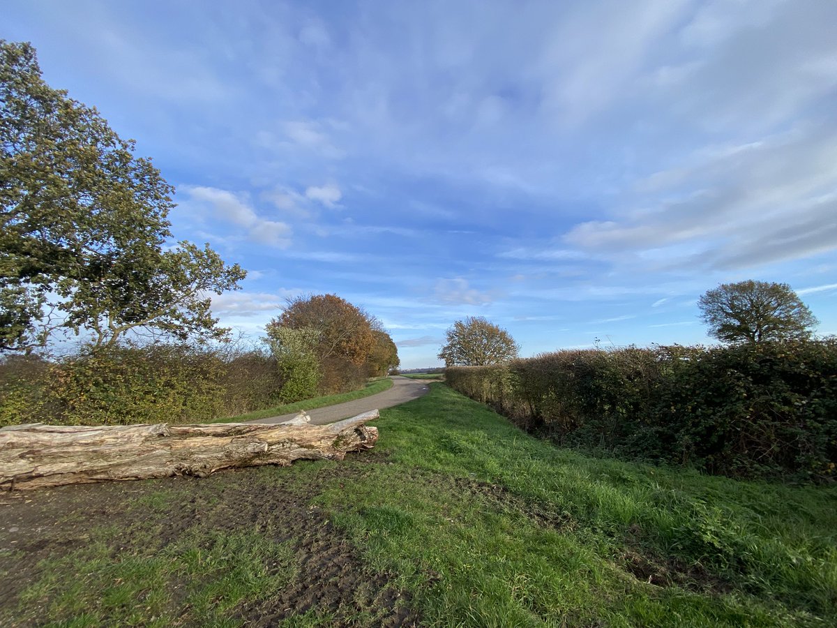 EszterEsztero's tweet image. Sun 🌞 is out bike🤩 is out too 😃 

#workingfromhome 😀
#cycling