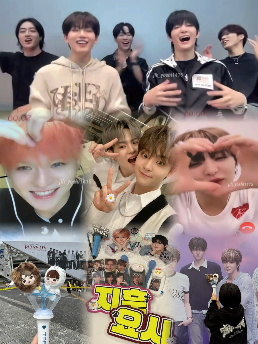 アミ🐶🐯 tweet media