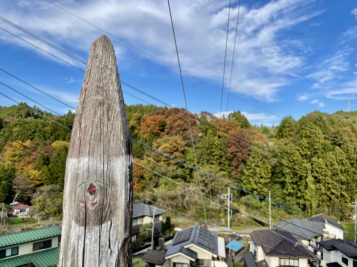 リフレッシュしてきました🌲
森の妖精ZiZiさんがいました✨