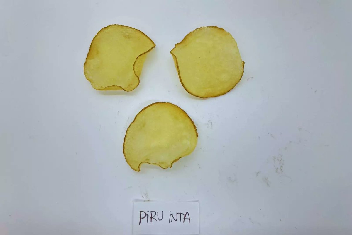 El INTA 🇦🇷 desarrolla una nueva papa ideal para chips!
Obtenida por edición génica, permite conservar los tubérculos hasta 120 días a bajas temperaturas sin perder calidad👏👏👏
la nota completa: intainforma.inta.gob.ar/el-inta-desarr…