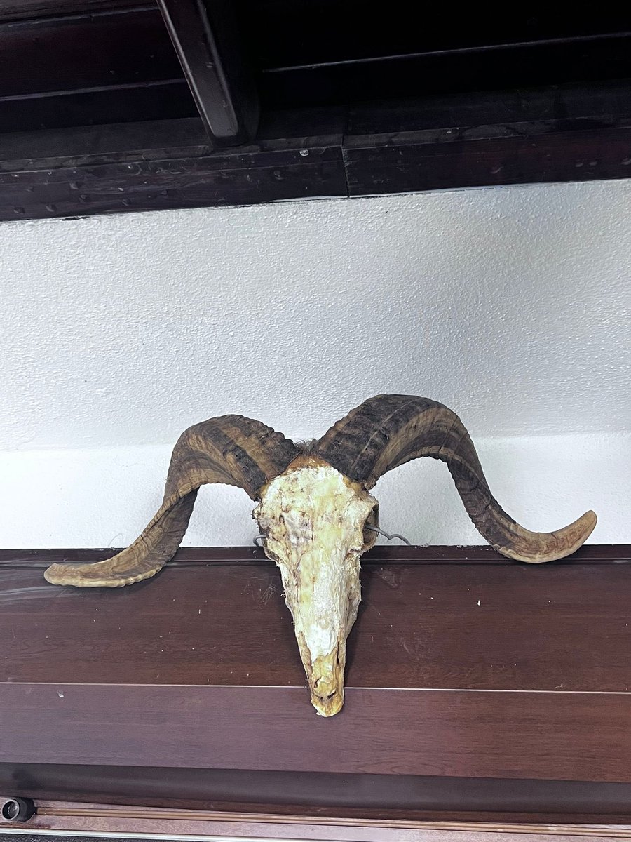 digitalmuse_'s tweet image. i made it