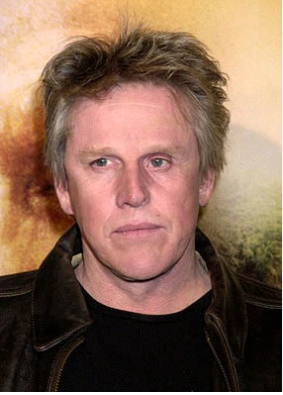 I had no idea that Gary Busey was Canada's first lady.  Way cool.