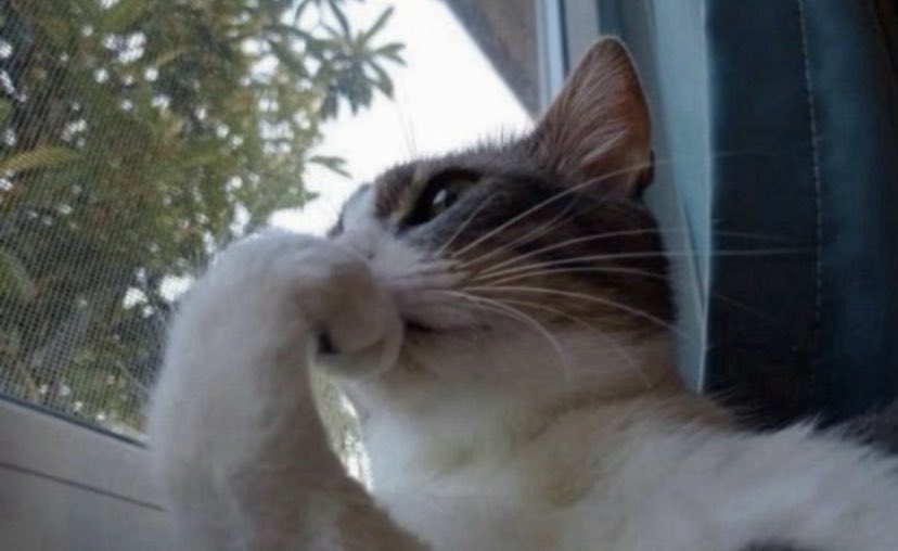 Well.. 
that’s how I actually feel about myself