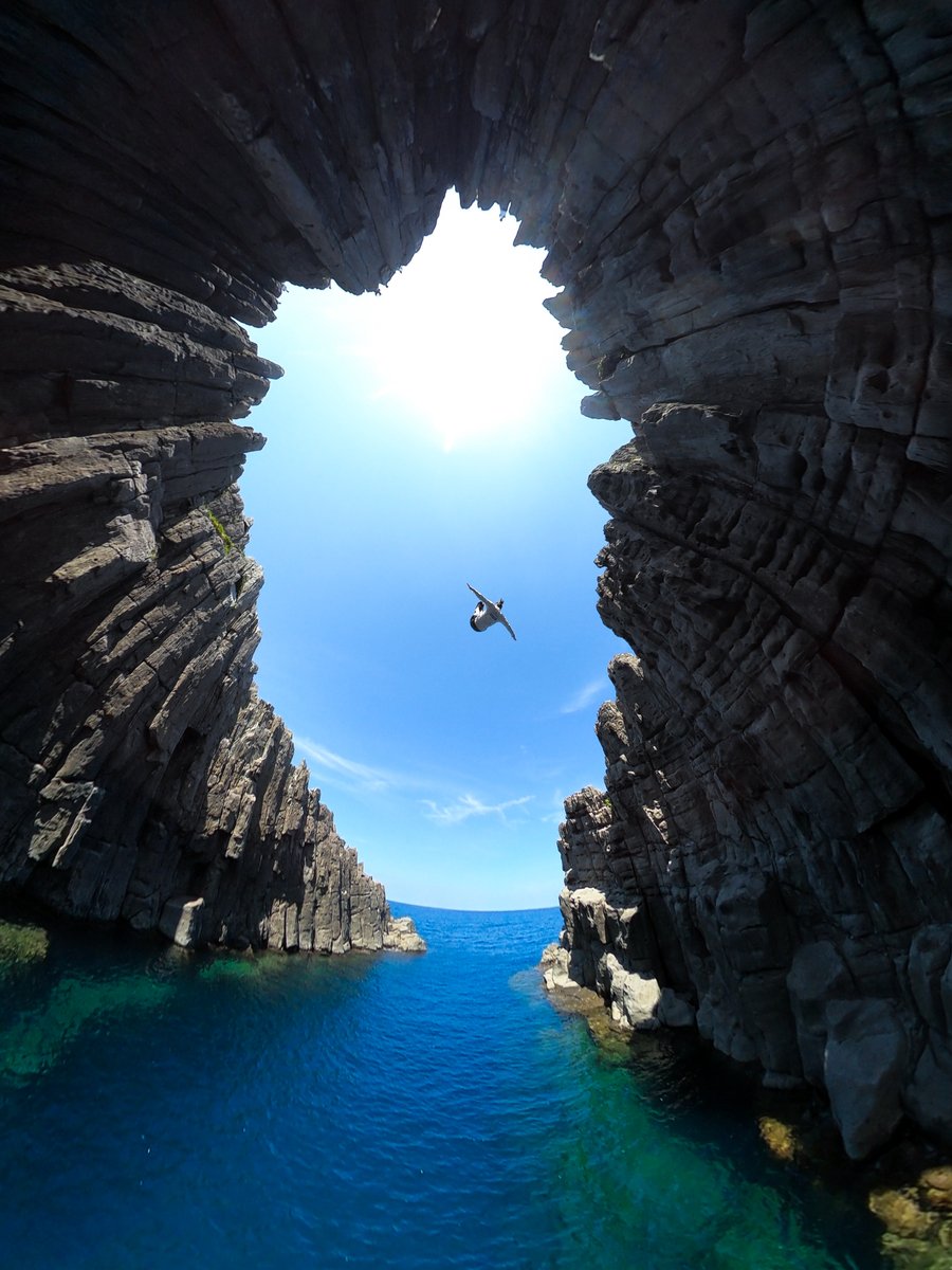 GoPro's tweet image. Photo of the Day: Impeccable form, Kyohei Arata 👏 This 10/10 dive earned him a $100 GoPro Award 👉 GoPro.com/Awards

📸 Shot on #GoProMAX

#GoPro #CliffDiving #Diving
