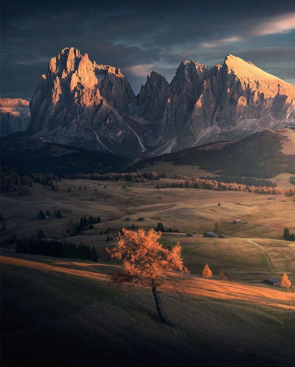 earthcurated's tweet image. Autumn in the Italian Alps 🍂