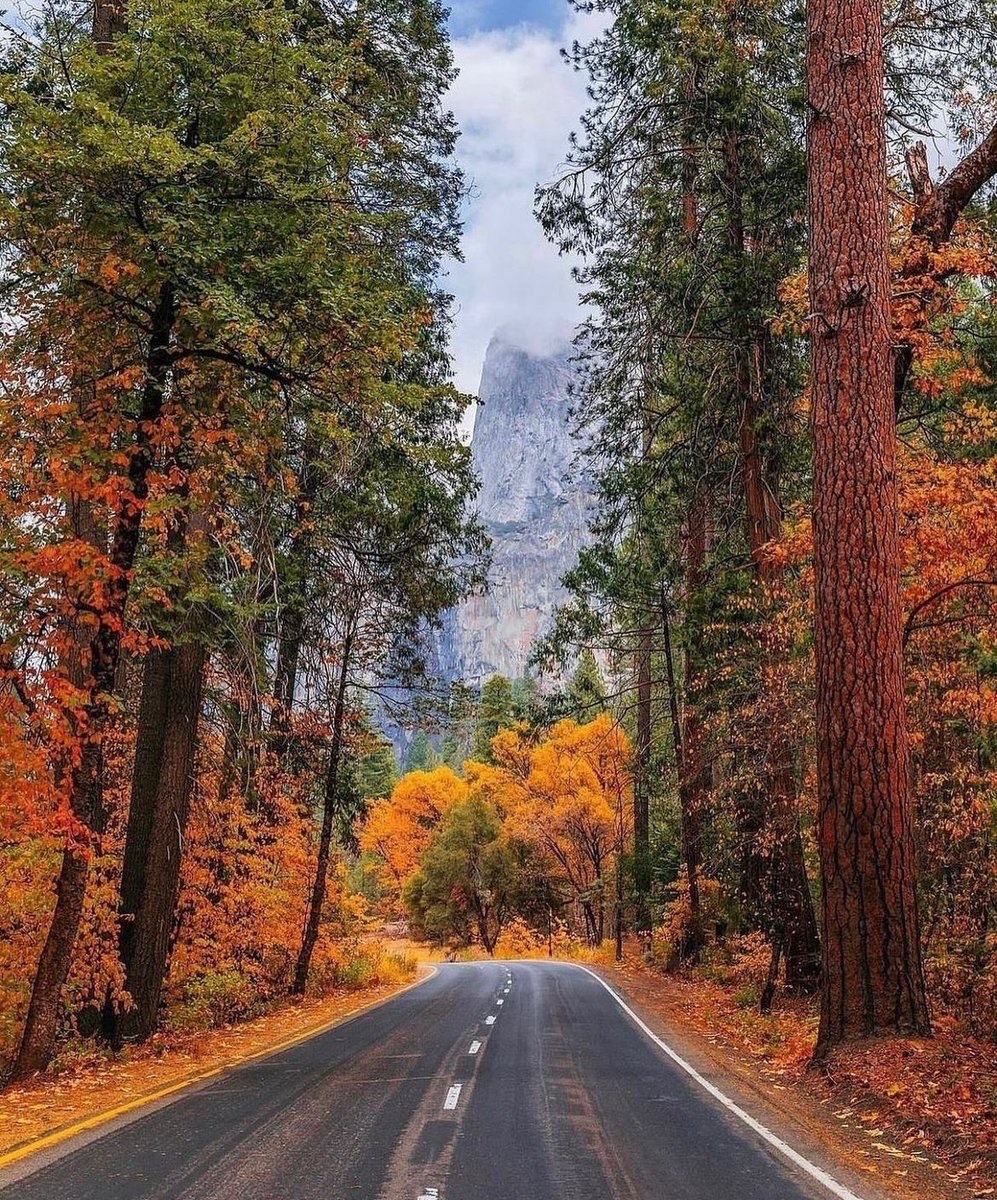 Yosemite Valley 🍂