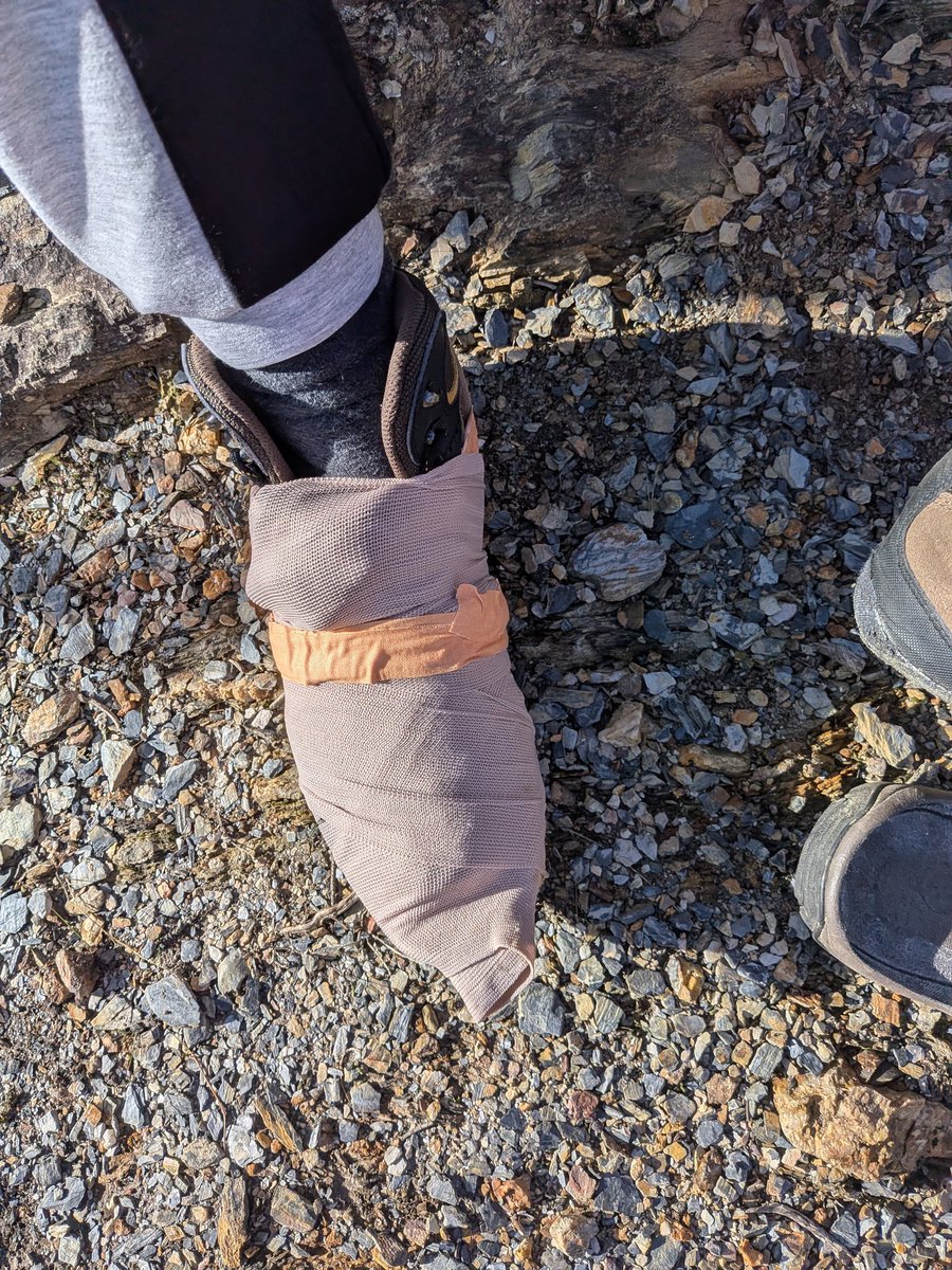 Moisés Cañada López tweet media