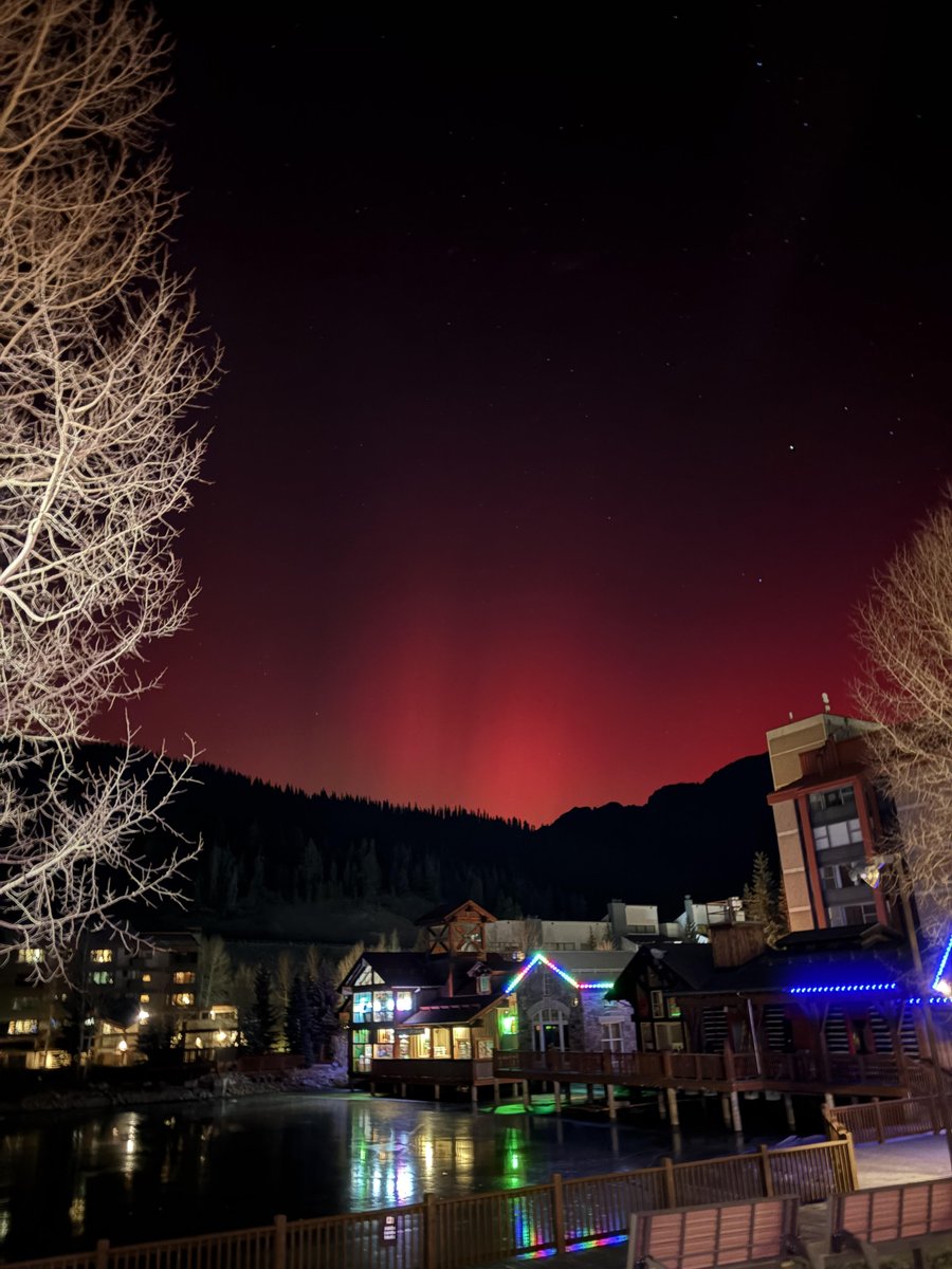 SummitLibraries's tweet image. We live in a magical place. #Colorado #cowx