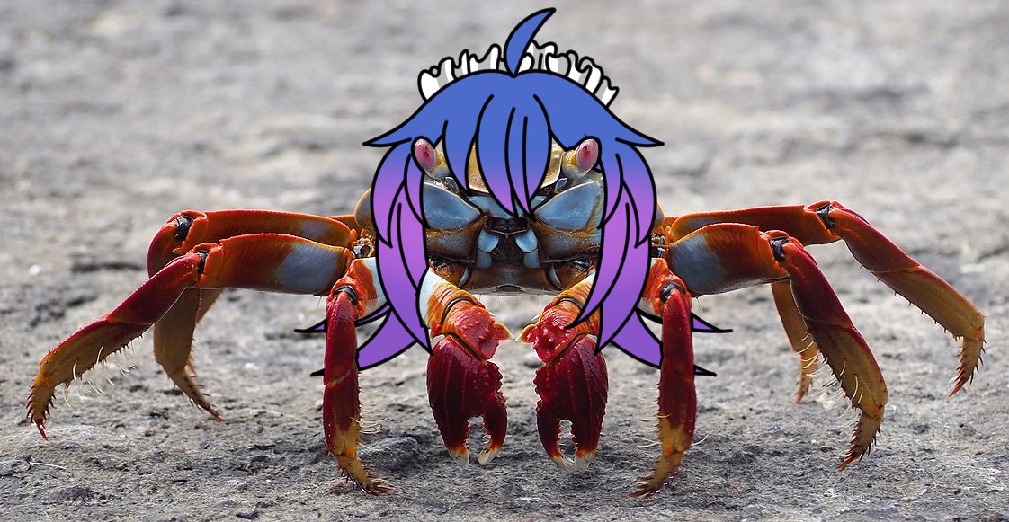 Cwaaaaabb Champions! 🔥
Tonight at 10 EST 🦀