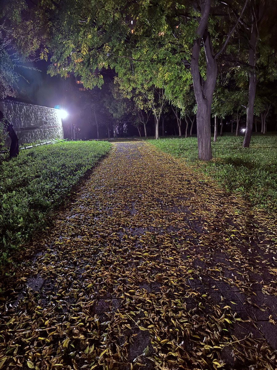 Ne demiş ünlü şairimiz “Sonbahar sanattır, diğerleri mevsim.” Cemal Süreya❤️❤️