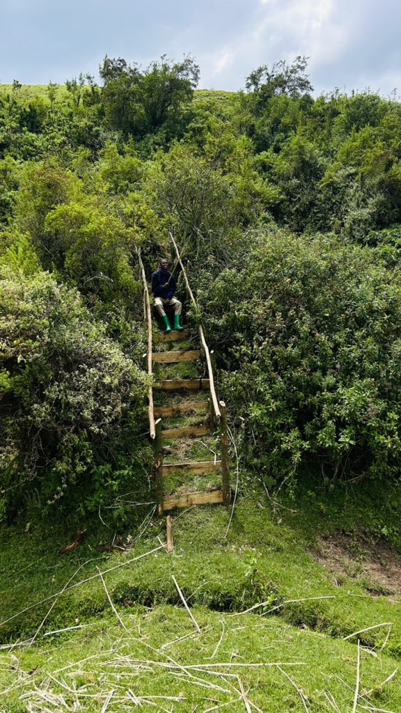 Abantu bazaza mu  Bigogwe iyi weekend bazahasanga utuntu nkutwo.🫠

3rd frame ni Bigogwe 😊😊❤️