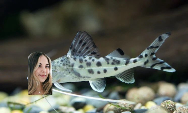 “I’m a catfish” yes you are 🥵