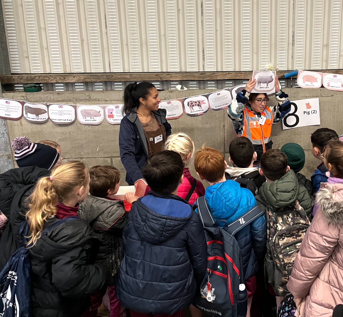 TeagascPig's tweet image. A great morning in Moorepark where Molly, Babra, Melissa &amp;amp; Barbara from @teagasc @TeagascPig did a great job telling the children from @GaelscoildehIde &amp;amp; other local schools all about Irish pig production &amp;amp; research! @ScienceWeek @Researchirel #scienceweek #learning #fun