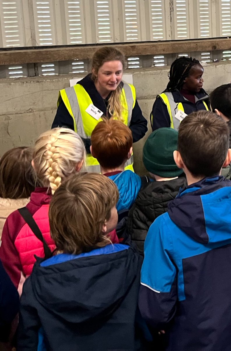 TeagascPig's tweet image. A great morning in Moorepark where Molly, Babra, Melissa &amp;amp; Barbara from @teagasc @TeagascPig did a great job telling the children from @GaelscoildehIde &amp;amp; other local schools all about Irish pig production &amp;amp; research! @ScienceWeek @Researchirel #scienceweek #learning #fun