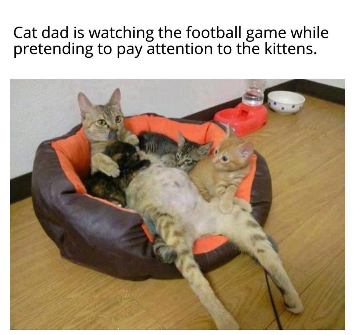 Hans Andersen (@hanseandmann) on Twitter photo 