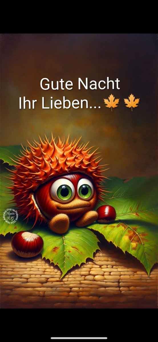 Ihr Lieben 🥰 die Hälfte der Woche haben wir geschafft , jetzt sammeln wir neue Kräfte für den Rest der Woche . Ich wünsche euch einen schönen gemütlichen und entspannten Abend und später eine gute Nacht 😘🐰