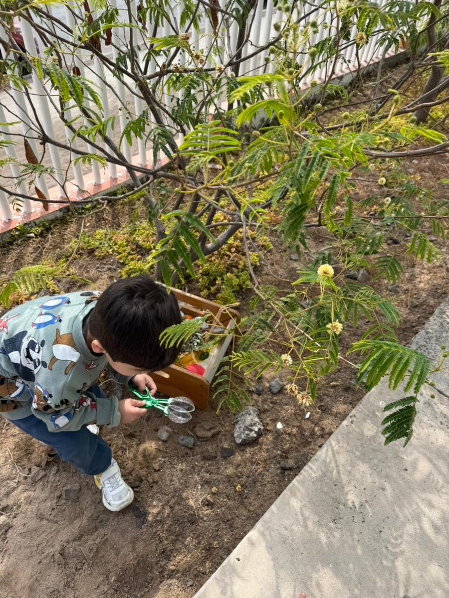 Explora Región Antofagasta tweet media