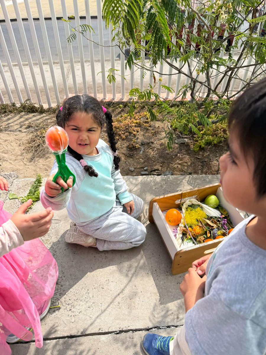 Explora Región Antofagasta tweet media