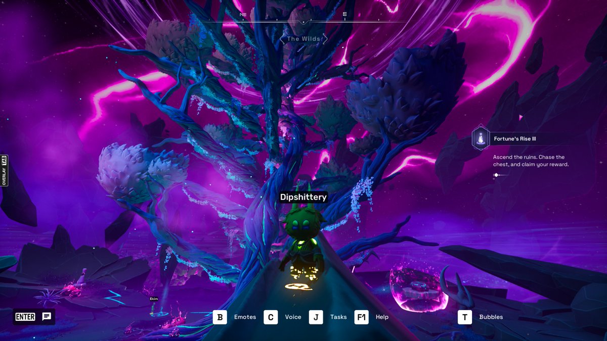 Dippy 💙 tweet media