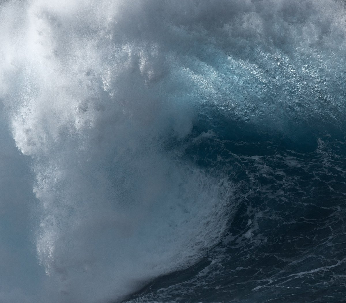 The art of the ocean.