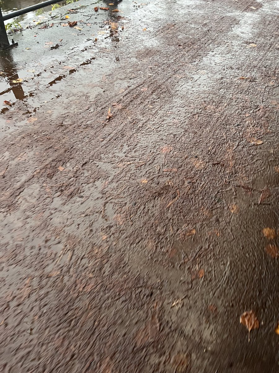 Rural Pursuits 🦊 tweet media