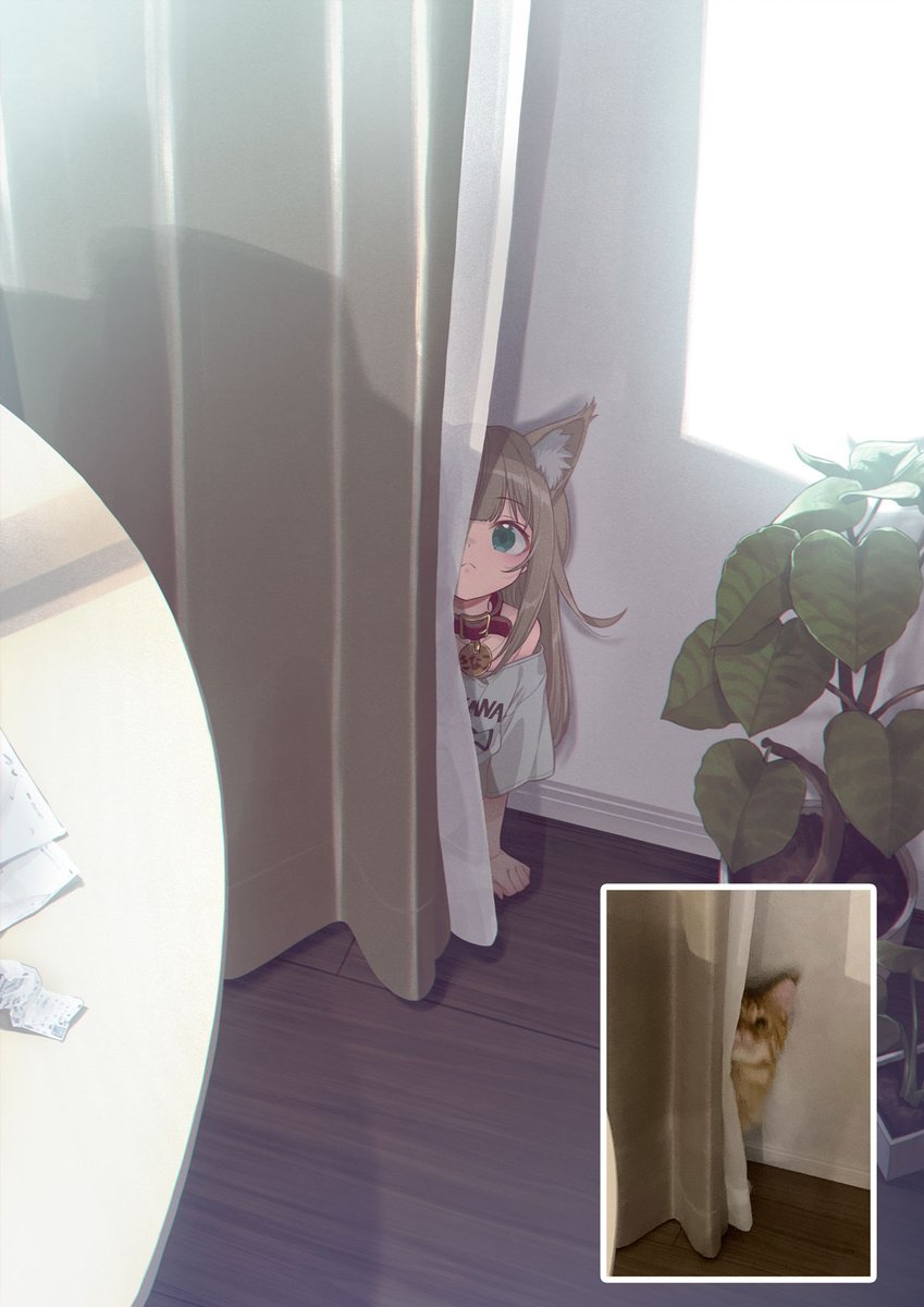 ちらっ|дﾟ)🐈
#うちのねこが女の子でかわいい