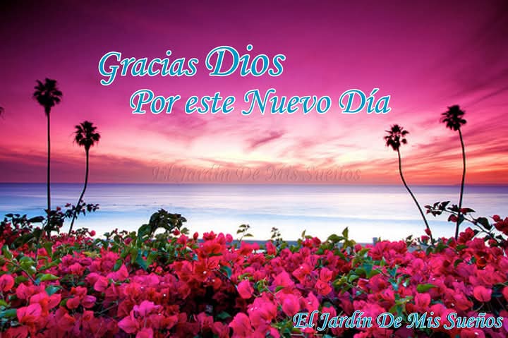 Gracias Señor por un Nuevo Día más de Vida 🙏🏼🙌🏽