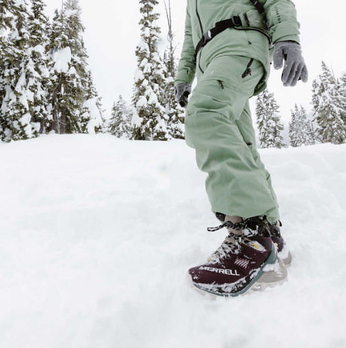 Solarcore® tweet media