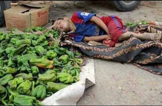 الطفل النائم هذا هل سيتعلم حب الوطن ...لا نموت ليحيا الوطن..!
تهاني ابو القمصان بتقول مجلس النواب صدق ع قانون قبل ما يستلم ولا تبان النتيجة والملاحق بيقول بقي اللي هيفتح بقه هيجبوه من قفاه ع طول ومفيش حاجة اسمها توكل محامي من الدار للنار 😁 حكومة  بلا قانون