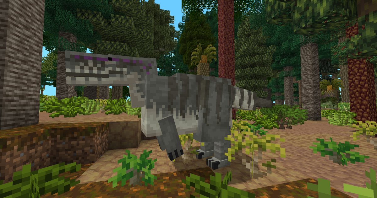PrehistFaunaMod's tweet image. We hit 1000 followers! To thank everyone, meet Sinraptor! These dinos from Upper Shaximiao biomes are less aggressive but no less dangerous than other theropods. Their bites will inflict bleeding, followed by stalking and circling.
#minecraft #minecraftmodding #paleoart #dinosaur