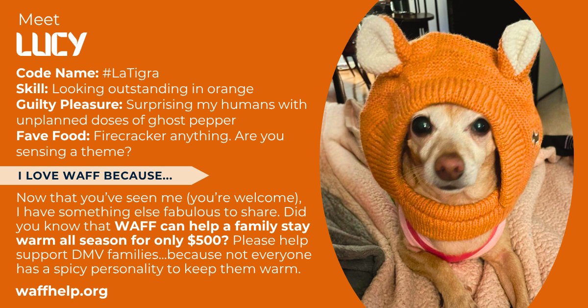 Washington Area Fuel Fund (WAFF) tweet media