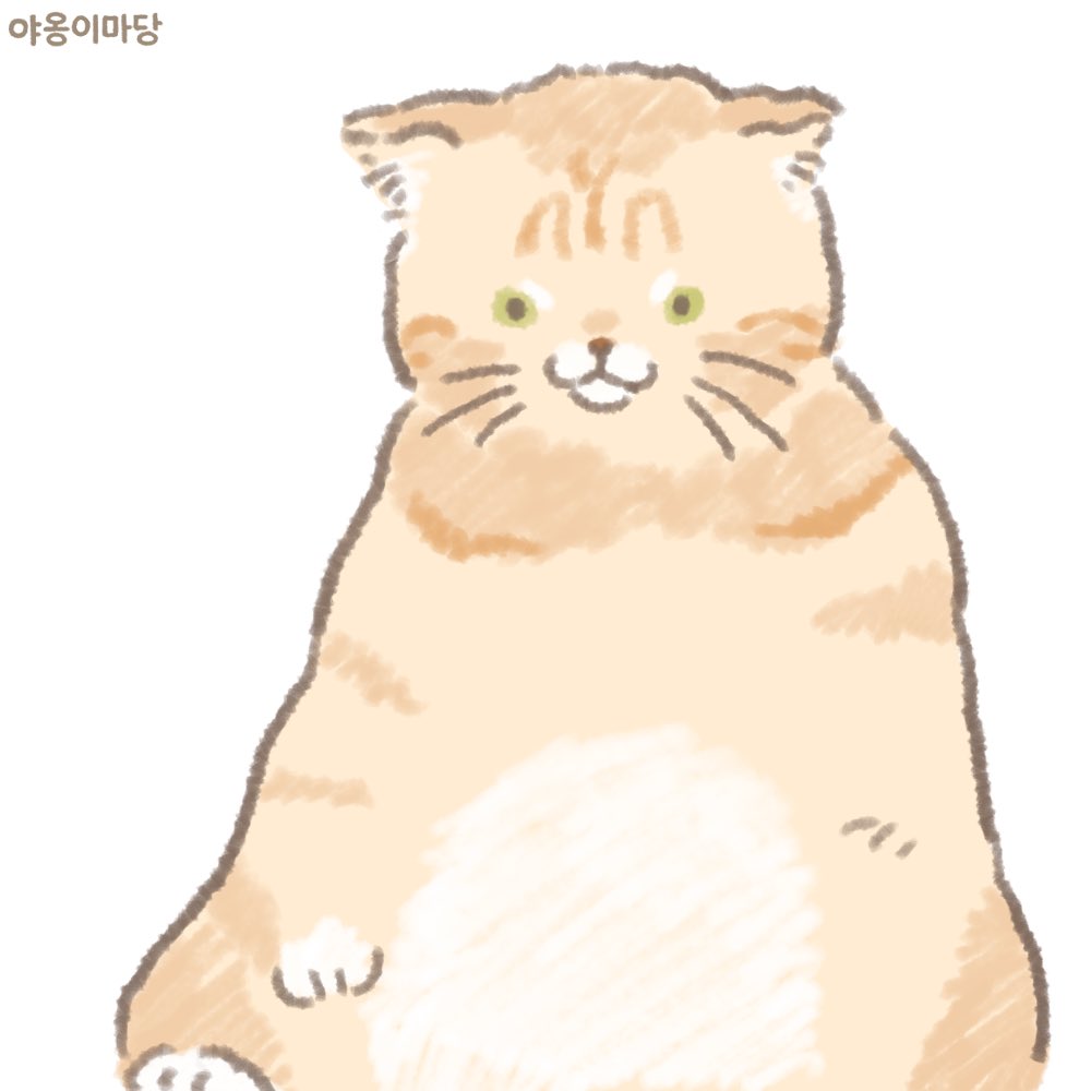 yard_of_cats's tweet photo. 냄군냄군하다 냄군냄군한
냄군냄군하다 냄군냄군한 https://t.co/9y4aKgUvS9