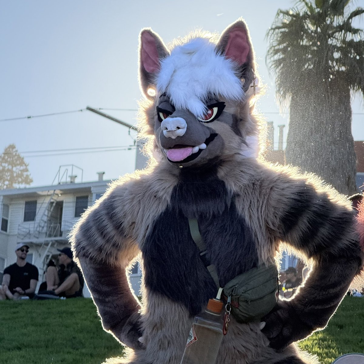 RumorHyena's tweet photo. ☀️ Photosynthesizing ☀️ https://t.co/RiyHBzfxJA