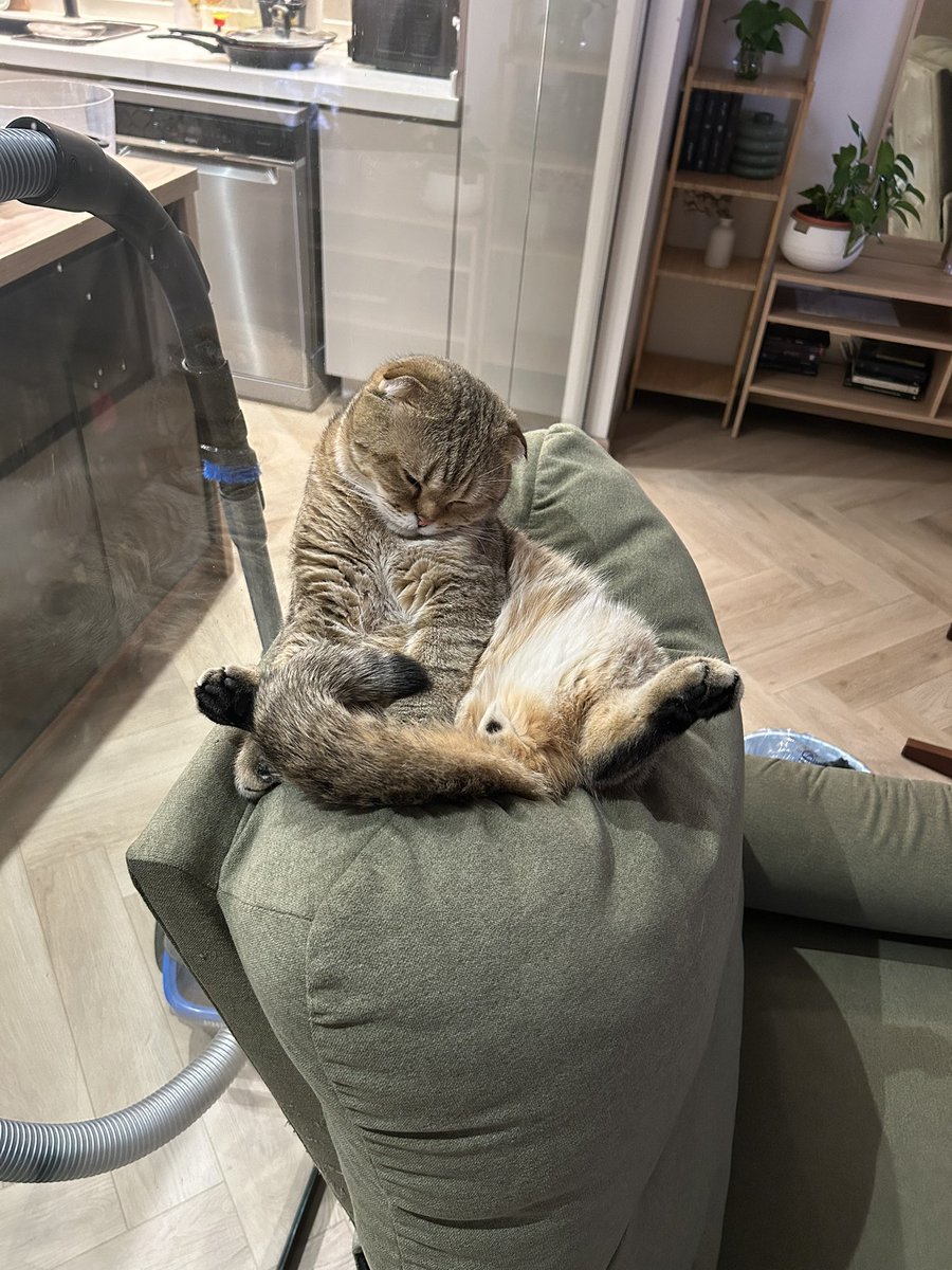 Hamza Wazzan 🫀 tweet media