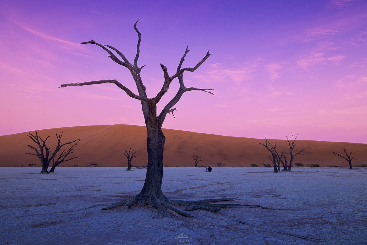 HugoVP55's tweet image. Amanecer en Deadvlei, Namibia
