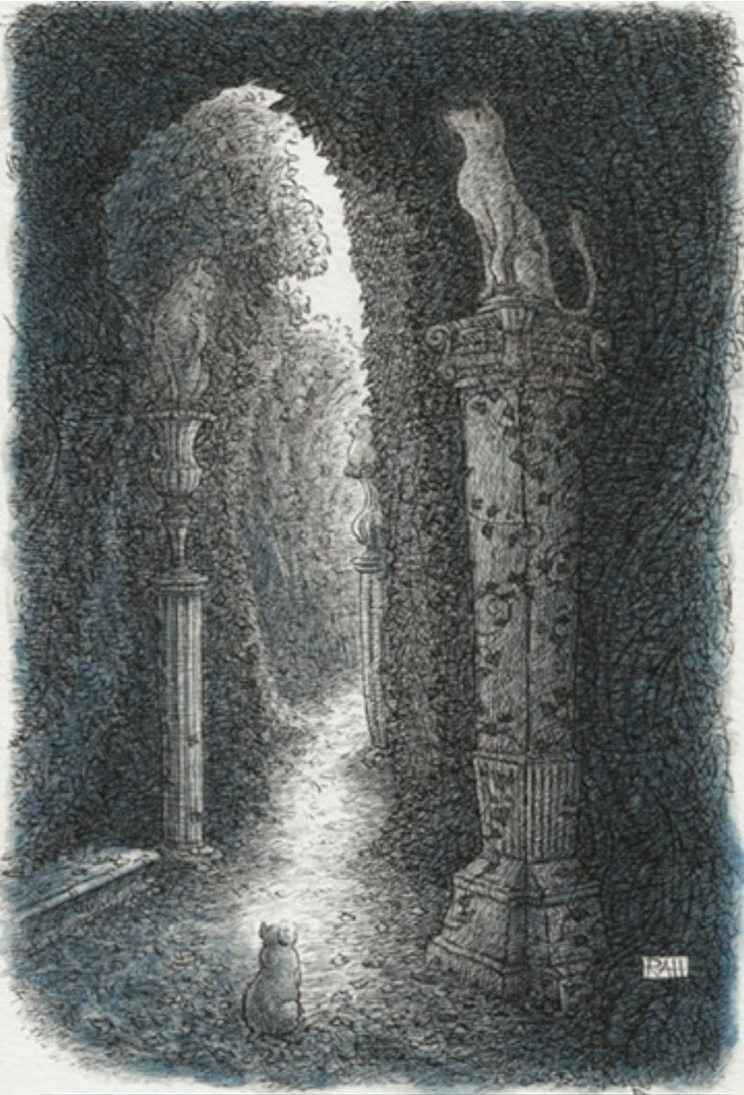 Rob Husberg tweet media