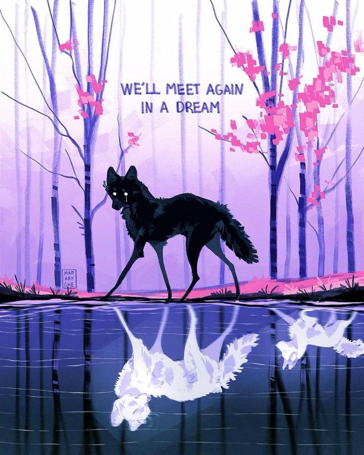 Black. (@blackdreamvibes) on Twitter photo 